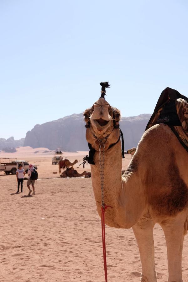 Wadirum Momoo Вади Рум Екстериор снимка